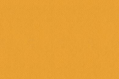 50x69 - Papier Skivertex CRIS MAT MOUTARDE