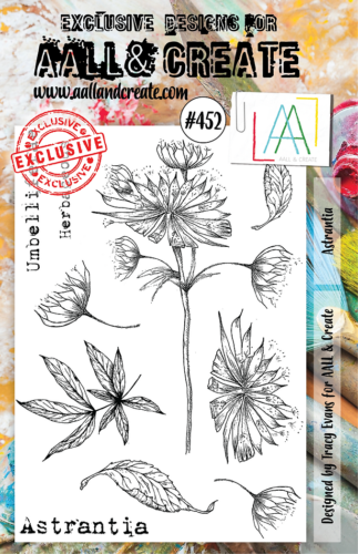 Tampon Clear Aall And Create - N°452 ASTRANTIA
