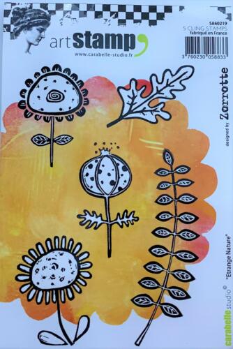 Tampon Cling Carabelle Studio - Art Stamp ZORROTTE - ETRANGE NATURE 