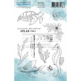 Tampon Clear Chou Flowers - ATLAS TOME II - Collection Nautique
