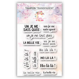 Tampon Clear - FRENCH TOUCH - Collection Nos petits Plaisirs d'Hiver - Love In The Moon