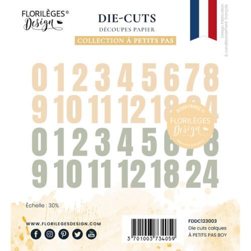 Florilèges Design -  Die Cuts Imprimés Calques A PETITS PAS BOY