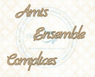 Chipboard Carton - Amis, Ensemble, Complices - Blue Fern Studios