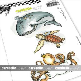 Tampon Cling Carabelle Studio - Art Stamp Mistrahl - GARDIENNES DES OCEANS