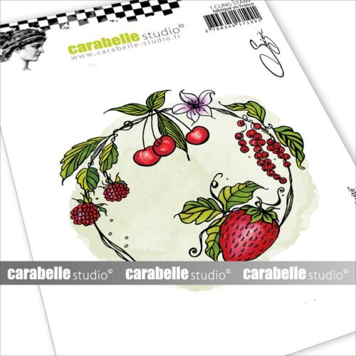 Tampon Cling Carabelle Studio - Art Stamp Soizic - CERCLE FRUITE