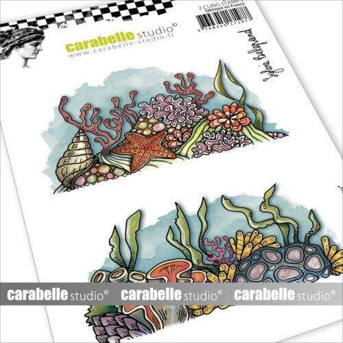 Tampon Cling Carabelle Studio - Art Stamp Sylvie Belgrand - SOUS L'EAU