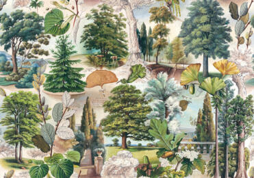 Papier Bomo Art - THE MYSTERIOUS LIFE OF TREES 50x70cm