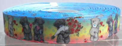 Ruban Imprimé fantaisie - OURS LOVE